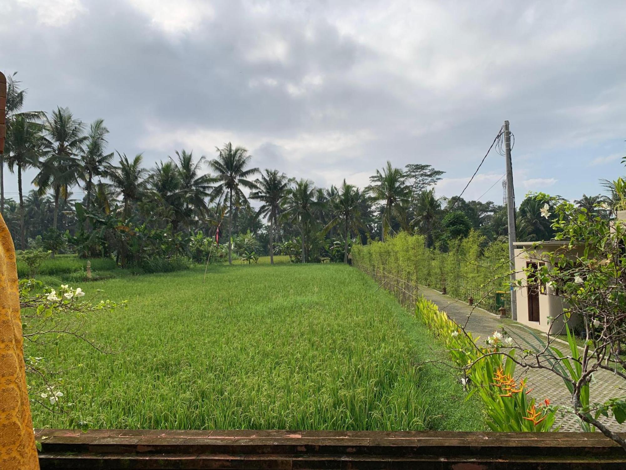 Adi Laxmi Villa Ubud Ngoại thất bức ảnh